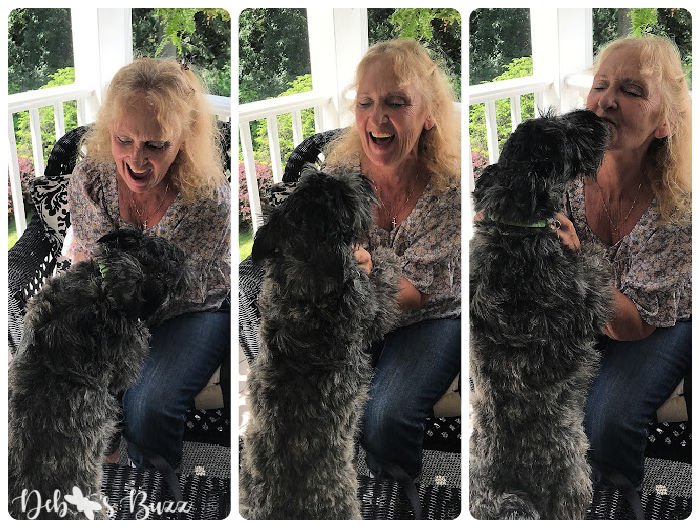 Scottie-puppy-kiss