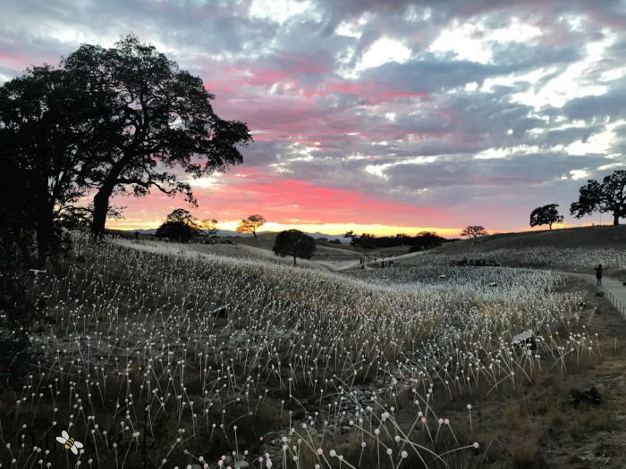 Paso-Robles-Field-Lights-before-dark