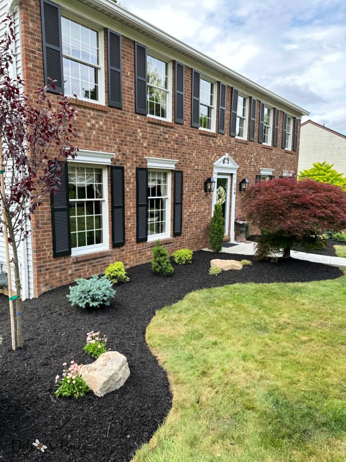 newly-landscaped-front-curb-appeal